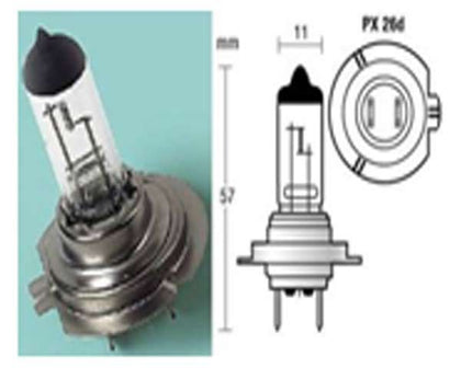 BOMBILLO HALOGENO 12V/55W UN CONTACTO BASE