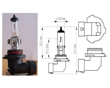 BOMBILLO HALOGENO 12V/55W DOS CONTACTOS BAS