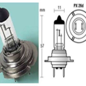 BOMBILLO HALOGENO 12V/55W UN CONTACTO BASE