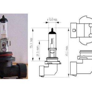 BOMBILLO HALOGENO 12V/55W DOS CONTACTOS BAS